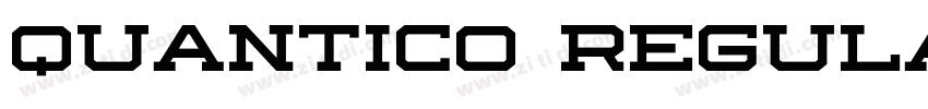 Quantico Regular字体转换